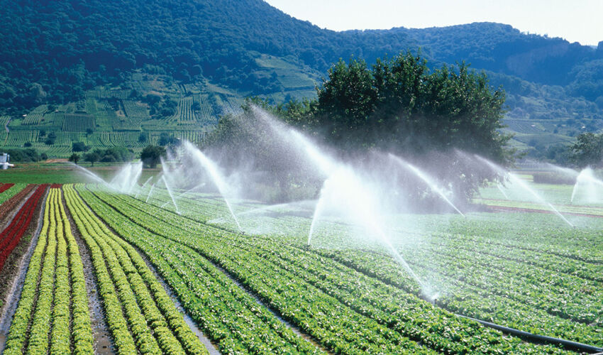 Apa uzată tratată poate fi utilizată pentru irigații Apa uzată tratată poate fi utilizată pentru irigații