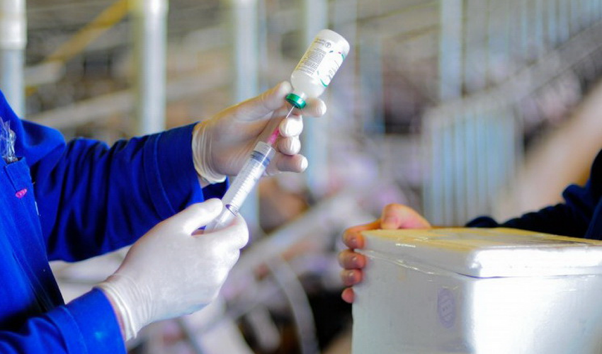 The European Union has no objection to meat from MERCOSUR, but it does not accept Brazilian antibiotics veterinarians