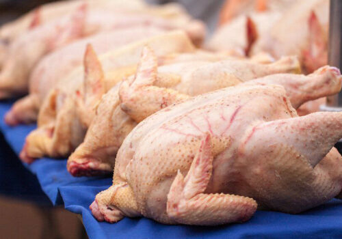 Salmonella descoperită în carnea de pui din Ucraina și Polonia