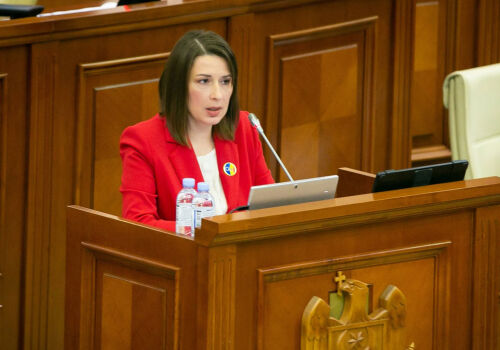 Liliana Vițu-Eșanu, numită la conducerea Centrului pentru Contracararea Dezinformării