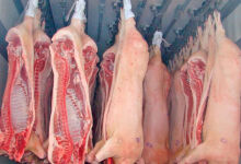 Se închide contingentul scutit de taxe vamale pentru importurile de carne de porc congelată în Moldova