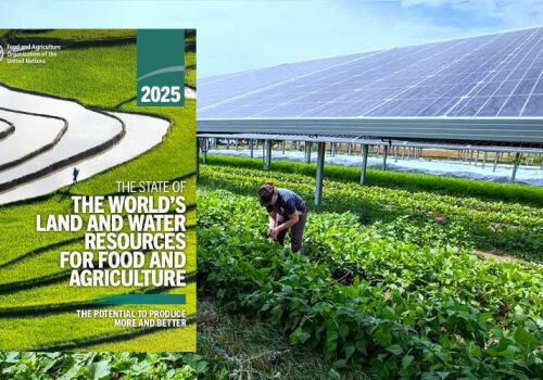 SOWAL 2025 report: how to feed the planet? SOWAL 2025 report: how to feed the planet?