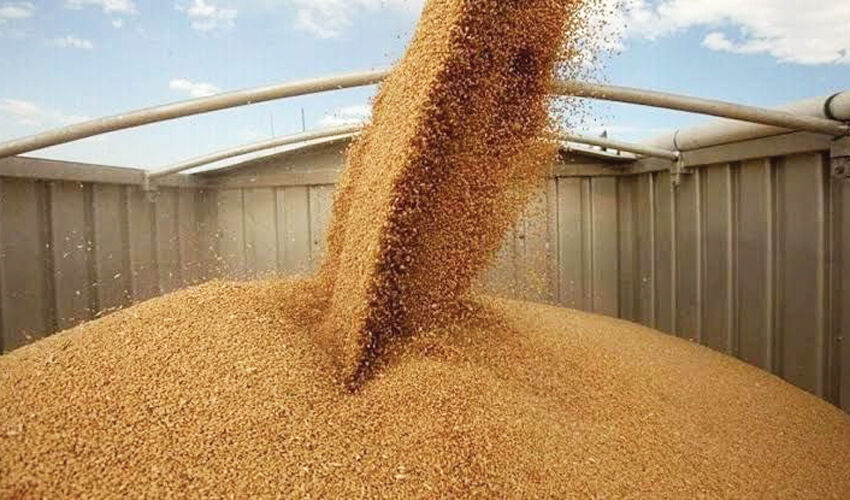 Moldovan grain market equalizes balance