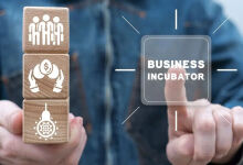 Tulip 3.0 business incubator launched: grants, mentoring and development opportunities for young entrepreneurs Tulip 3.0 business incubator launched: grants, mentoring and development opportunities for young entrepreneurs