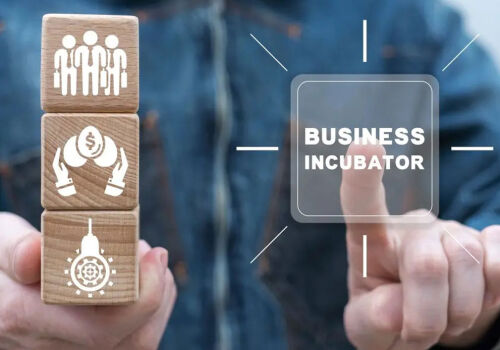 Tulip 3.0 business incubator launched: grants, mentoring and development opportunities for young entrepreneurs