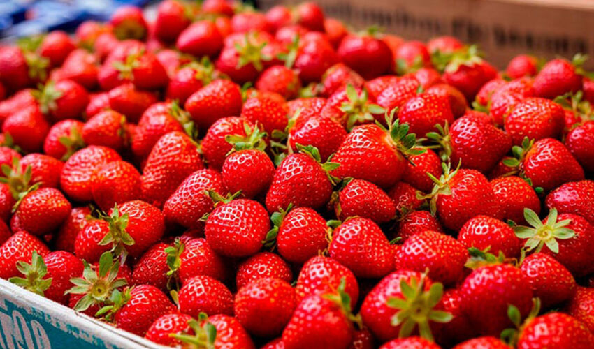 May strawberries have gone up in price