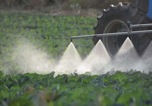 Noua lege va elimina vidul juridic de pe piața produselor fitosanitare Noua lege va elimina vidul juridic de pe piața produselor fitosanitare