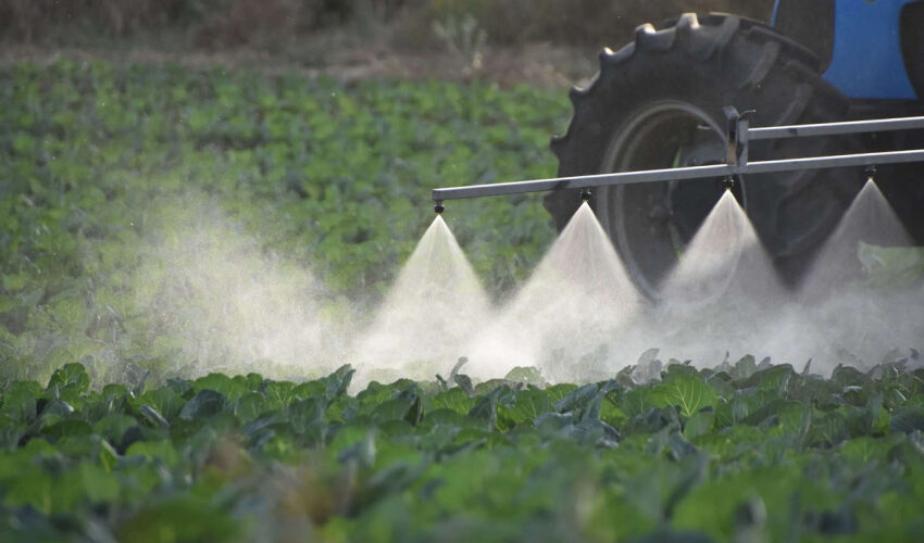 produse de protecție a plantelor
