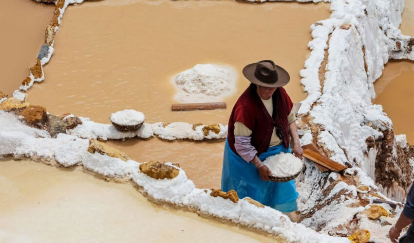 salt production