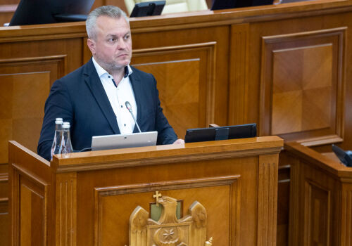 Parlamentul a aprobat în prima lectură ratificarea unui împrumut de 218,2 milioane euro de la BIRD
