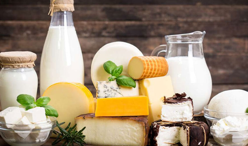 The structure of dairy products production has changed little over the decade
