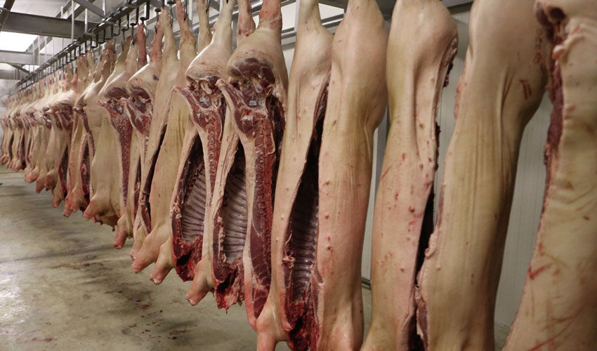 Unele importuri de carne de porc fără taxe vamale Unele importuri de carne de porc fără taxe vamale