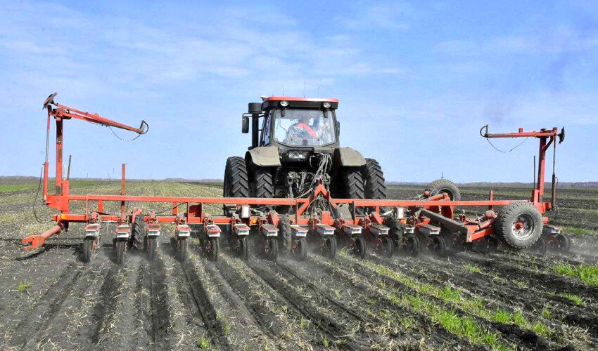 însămânțarea de primăvară