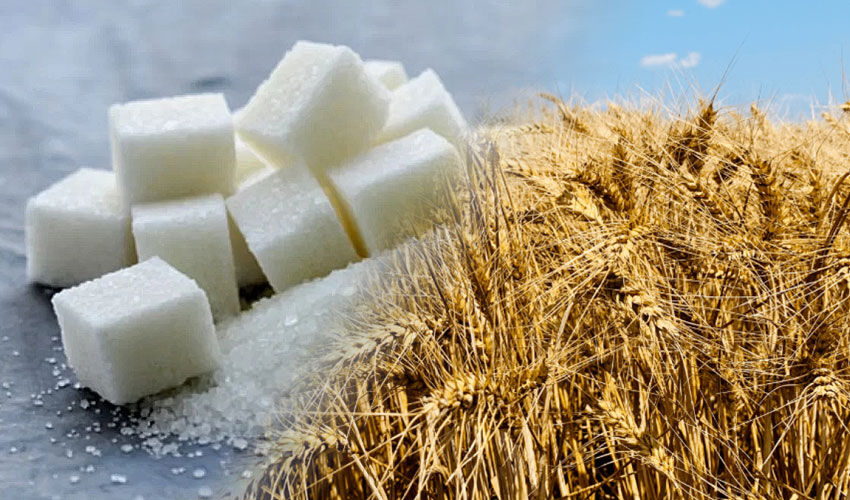 EU to restrict wheat and sugar supplies from Ukraine EU to restrict wheat and sugar supplies from Ukraine