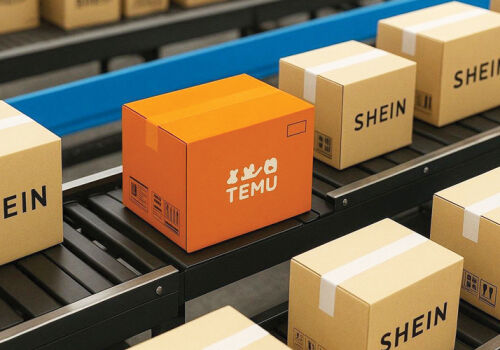 Taxing parcels from Temu and AliExpress will provide 1 billion Taxing parcels from Temu and AliExpress will provide 1 billion