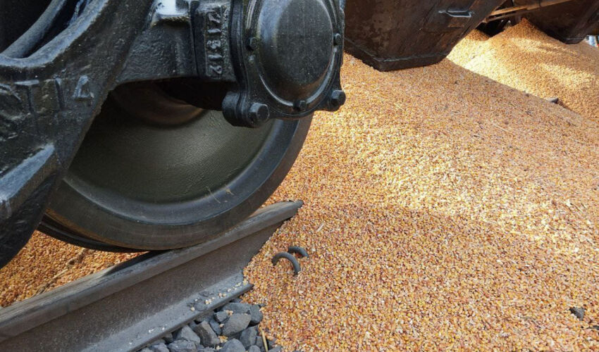 вагоны с зерном