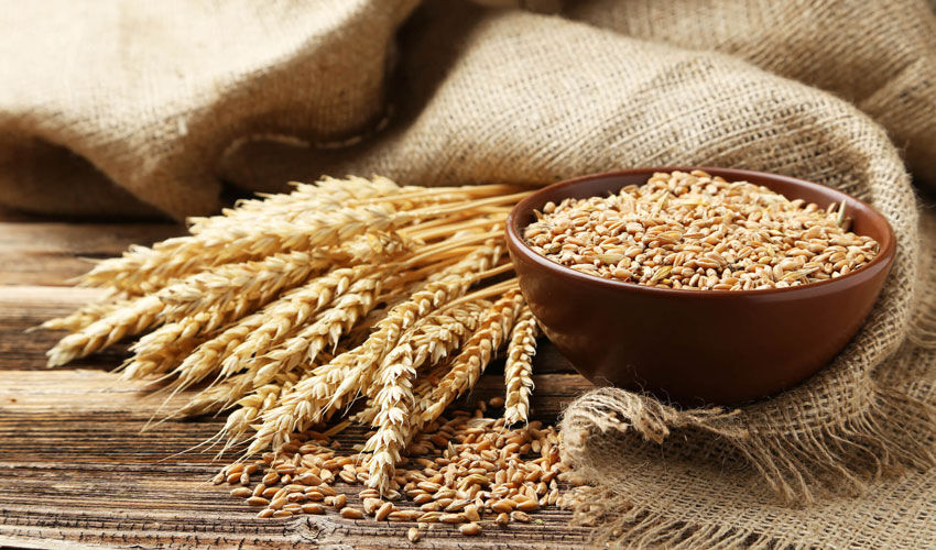 Wheat market in July: low prices – no sales