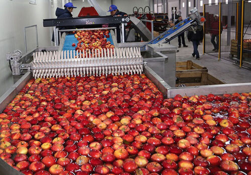 Pressure factors for the apple concentrate market