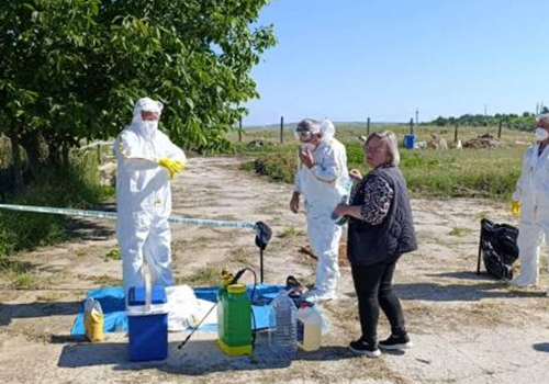  ANSA se antrenează pentru a combate focarele de gripă aviară