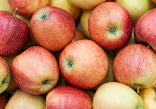 Fresh Plaza: “frost in Eastern Europe could double apple prices”