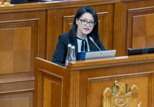 В парламенте прошел «день солидарности»