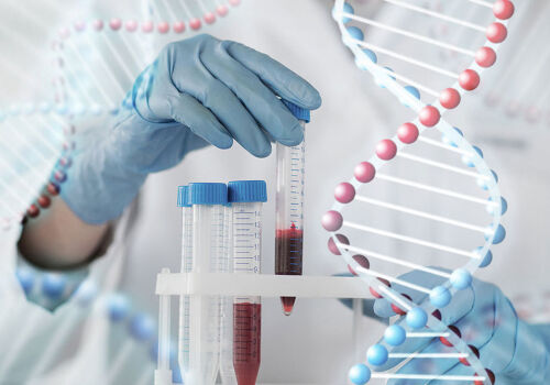 DNA of suspects will be automatically checked against EU databases