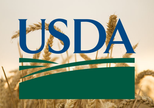 USDA June Report – Global Wheat Market Remains Calm USDA June Report – Global Wheat Market Remains Calm