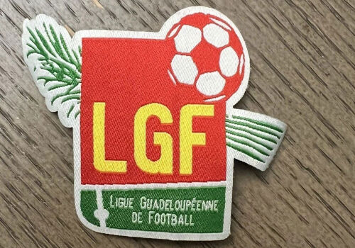 Футбольная лига Гваделупы объявлена банкротом из-за долга свыше €1 млн Футбольная лига Гваделупы объявлена банкротом из-за долга свыше €1 млн