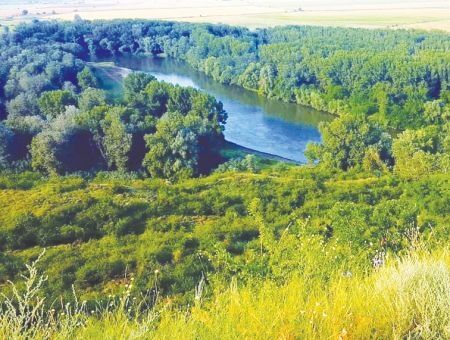 «К нам едет ревизор»…