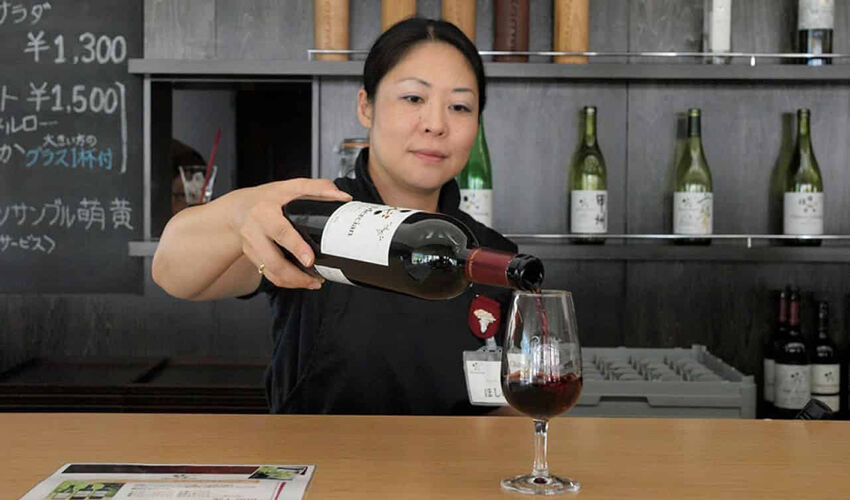 Wine exports to Japan grew by 31% Wine exports to Japan grew by 31%