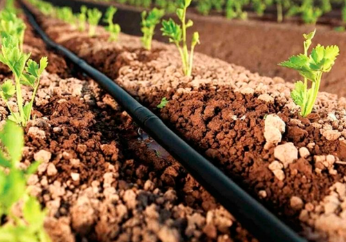An irrigation system will be built in Moldova with funding from IFAD An irrigation system will be built in Moldova with funding from IFAD