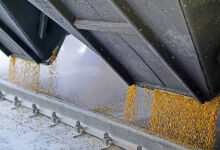 Trans-Oil grain terminal in Giurgiulesti port is out of operation