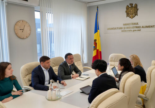 Молдова получит 750 млн леев в рамках «японского проекта» MAME