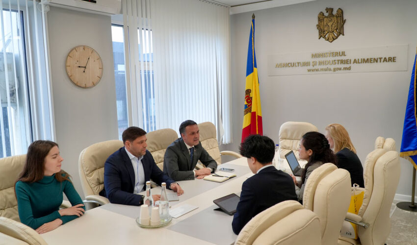 Proiectul MAME 2: buget convenit – 750 de milioane de lei, calendar de lansare aprobat discutarea proiectului MAME-2