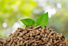 Moldova will continue to develop the production of energy from biomass