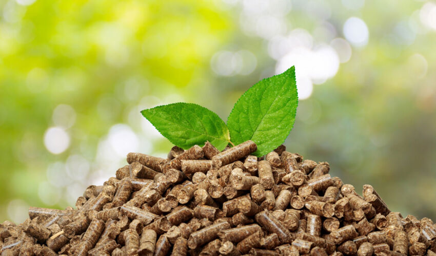 biofuel
