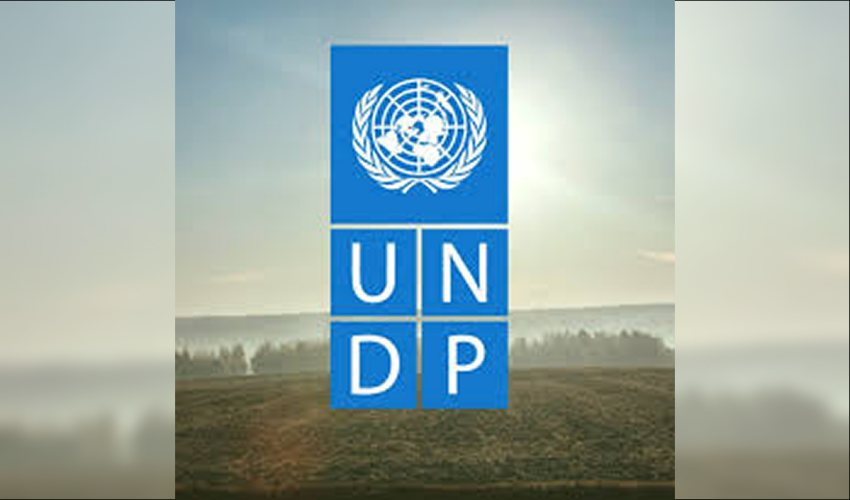 PNUD oferă IMM-urilor subvenții pentru tranziția ecologică PNUD