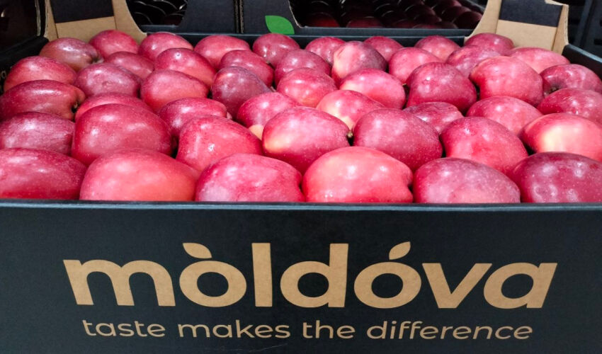 Exporturile de mere moldovenești descurajează în martie mere