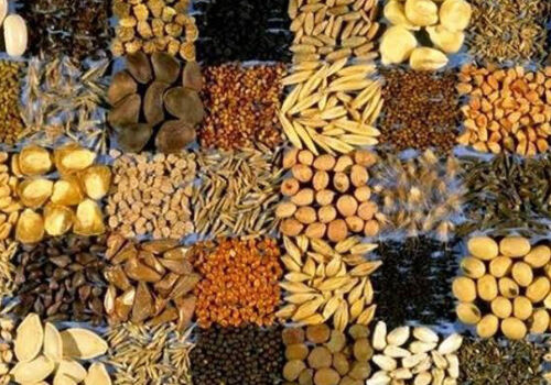 В Молдове появился Каталог сортов растений В Молдове появился Каталог сортов растений