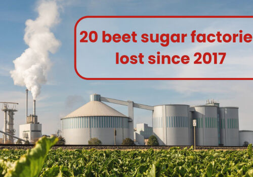 Fabricile de zahăr se închid în Uniunea Europeană