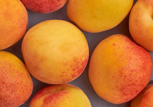 Prospects for the apricot crop in Europe in 2026