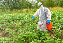 Fructele de pădure nu beneficiază de protecție agrochimică