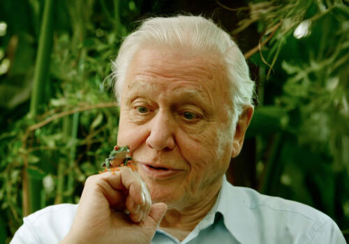Sir David Attenborough celebrates his 100th birthday and remains an active author of nature films