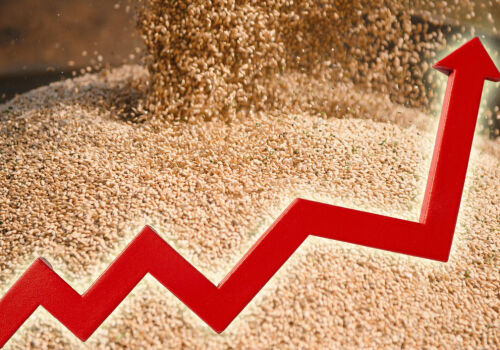 Global grain prices will continue to rise Global grain prices will continue to rise