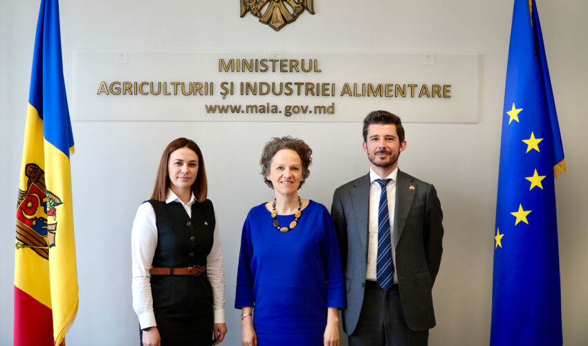 Ирригация и виноделие с французским акцентом Доминик Вааг, Максим Лебович