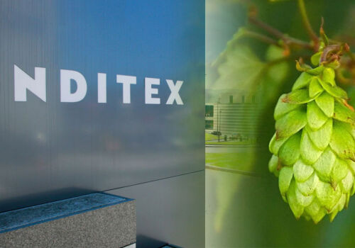 Inditex investește în dezvoltarea de materiale textile obținute din deșeuri provenite din procesul de fabricare a berii Inditex investește în dezvoltarea de materiale textile obținute din deșeuri provenite din procesul de fabricare a berii