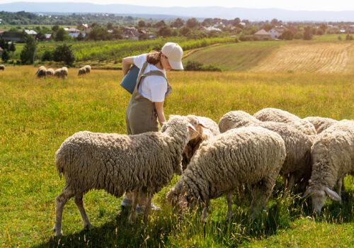 First subsidies for farmers in 2026