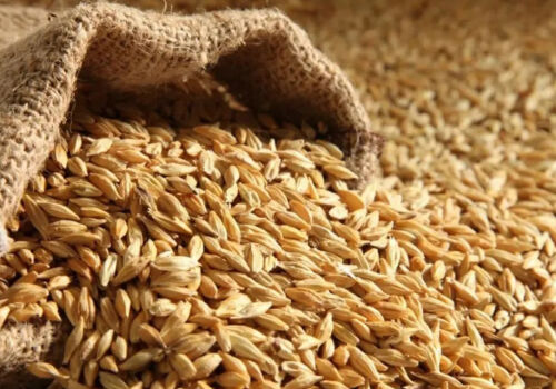 Prețurile cerealelor sunt în creștere: motivele nu sunt doar războiul din Orientul Mijlociu