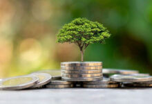 Климат остался без присмотра