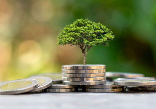 Climă lăsată nesupravegheată